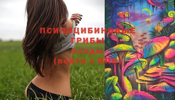 кокс Белокуриха