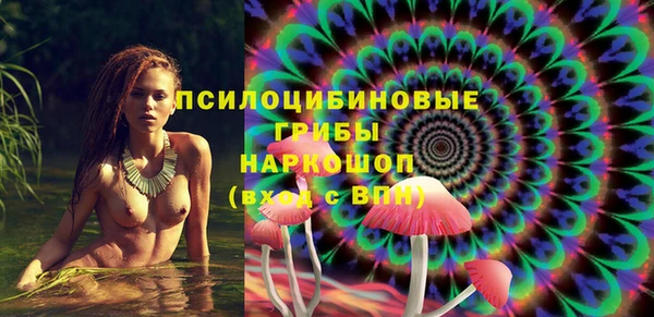 кокс Белокуриха